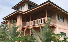 Coconut Palms Vacation Rental Near Lava Fields And Beaches