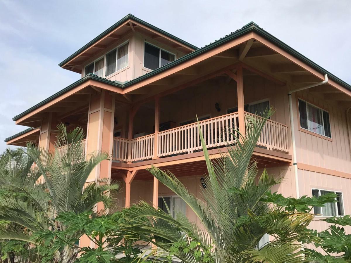 Coconut Palms Vacation Rental Near Lava Fields And Beaches Kehena Exterior foto