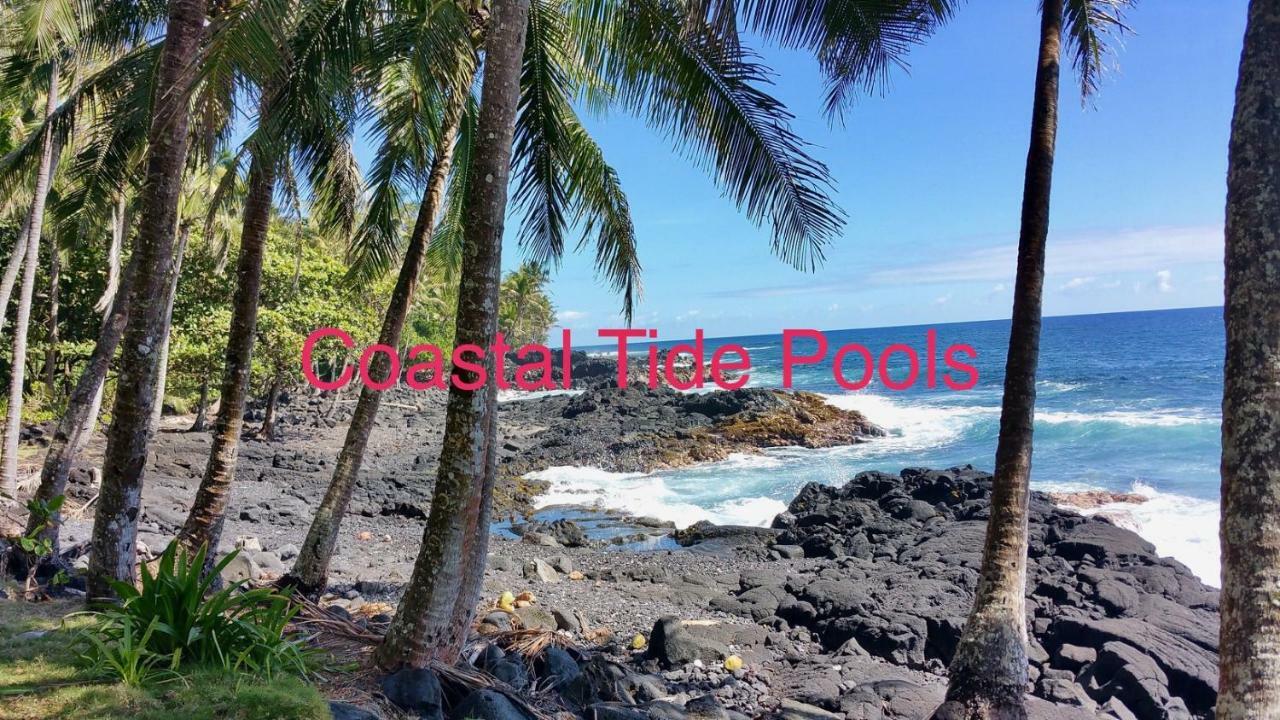 Coconut Palms Vacation Rental Near Lava Fields And Beaches Kehena Exterior foto